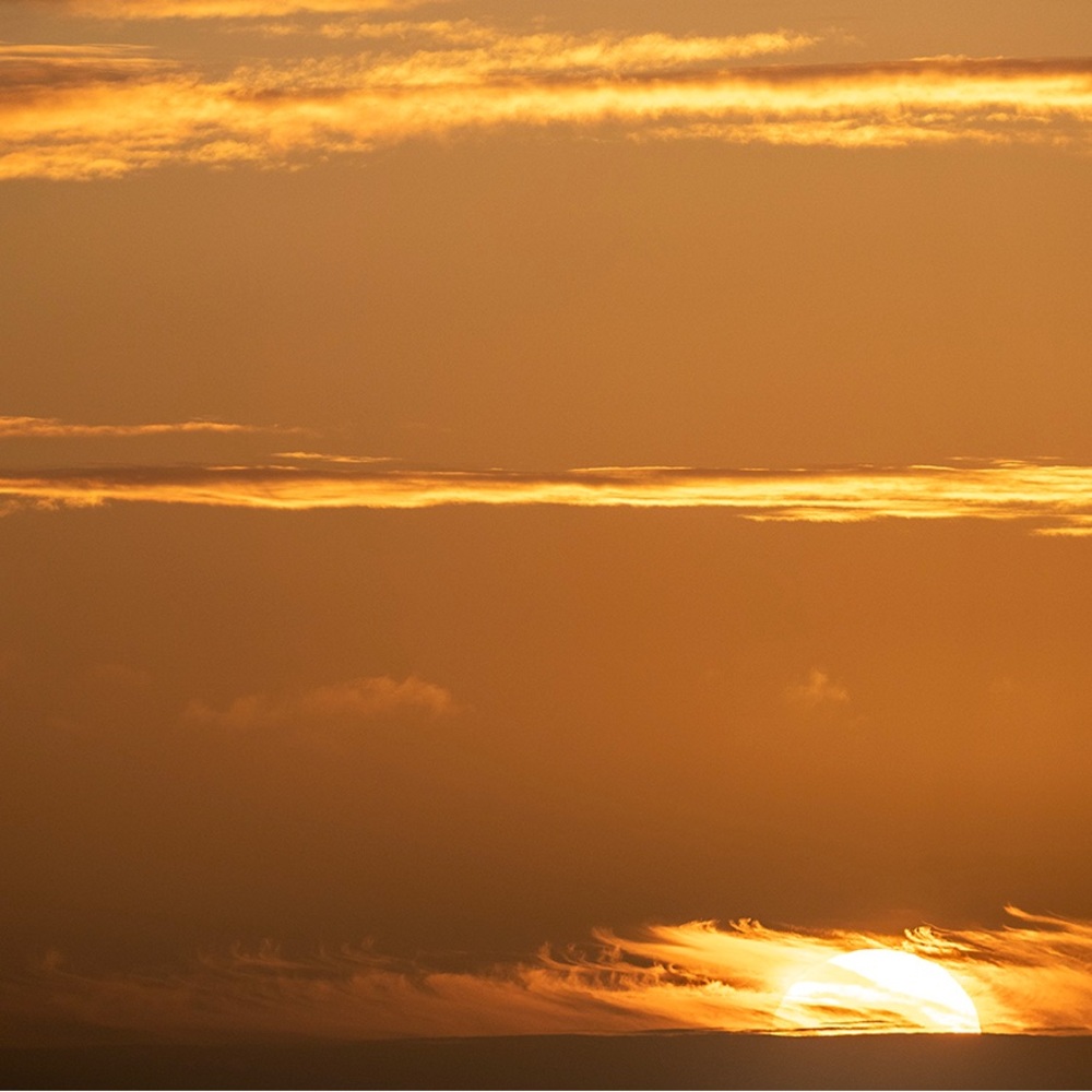 Meet your Posher, Anupama